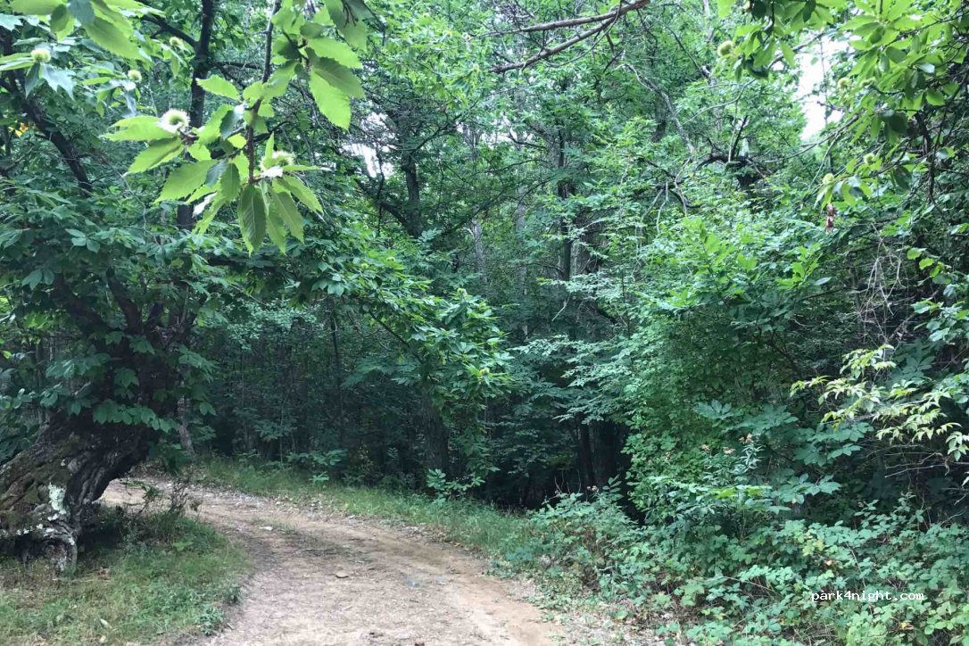 (18010) Molini di Triora - 136 Strada Provinciale 65 — foto 2