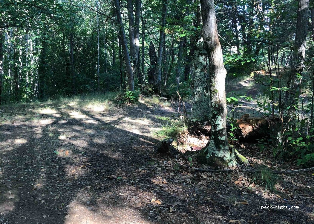 (18010) Molini di Triora - 136 Strada Provinciale 65 — foto 4