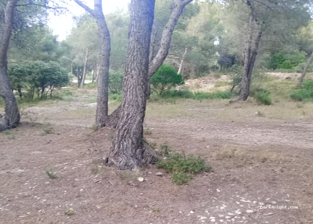 (13300) Salon-de-Provence - — foto