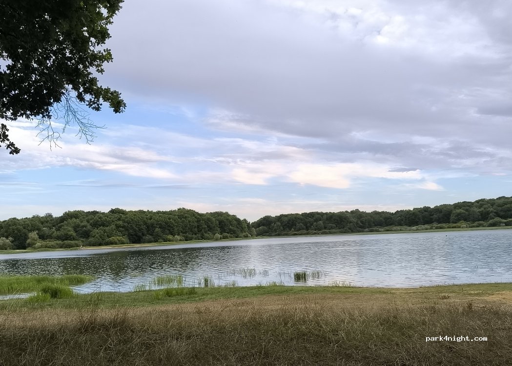 (89170) Saint-Fargeau - — foto 3
