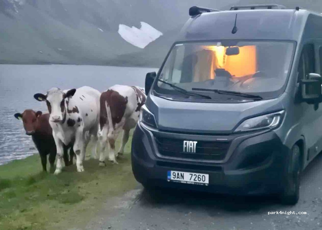 (6196) Norangsfjorden - Primær Fylkesveg 655 — foto 3