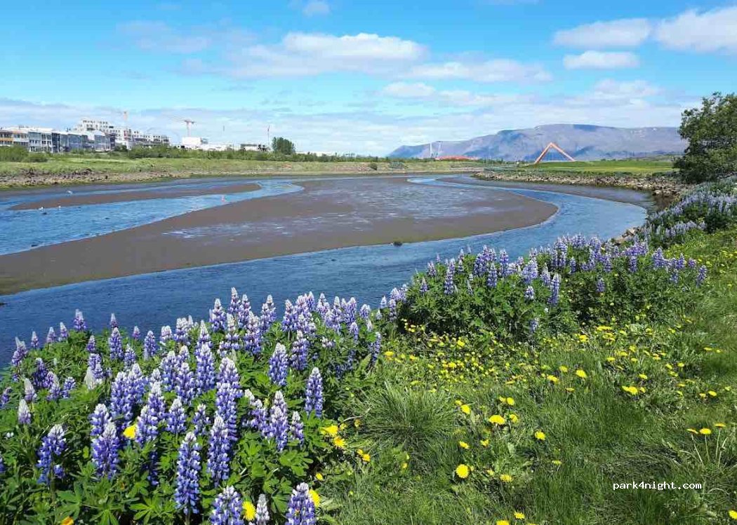(110) Reykjavík - 3 Geirsnef — foto