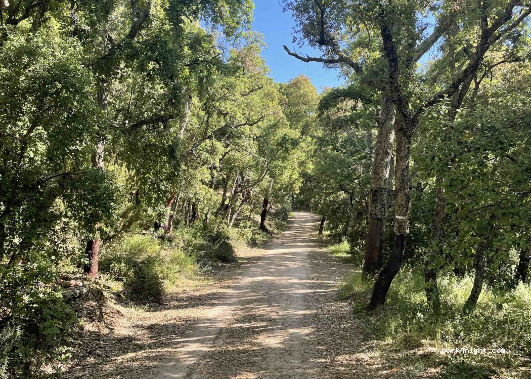 (17444) Sant Miquel de Cladells - — foto