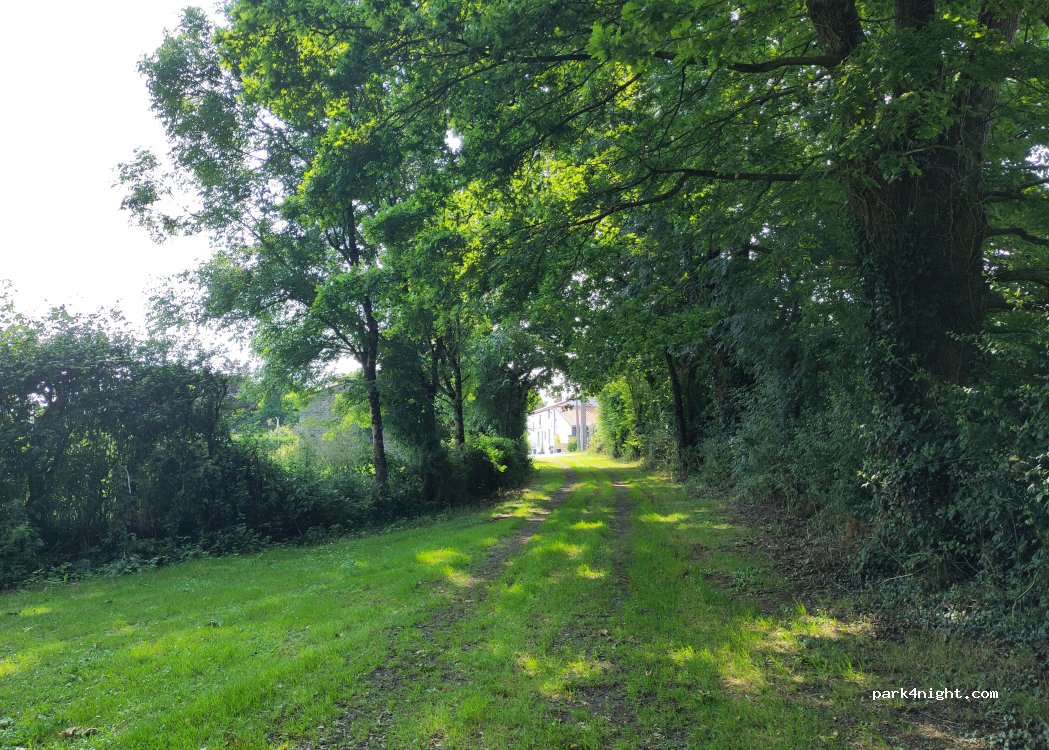 (85130) Saint-Martin-des-Tilleuls - 2 Les Gâts — foto 2