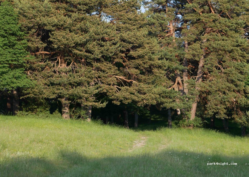 (06440) Lucéram - — foto 2