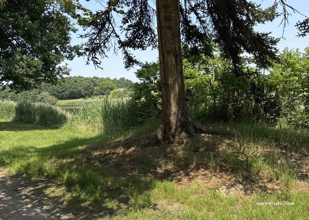 (37340) Rillé - 243 Les Pierruches — foto