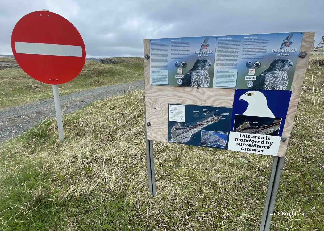 (9982) Kongsfjord - Unnamed Road — foto