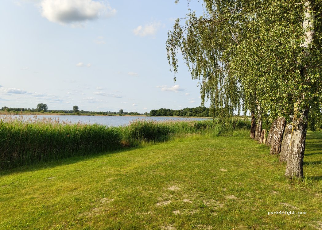 (16833) Fehrbellin - 58 Zu den Teichen — foto 5