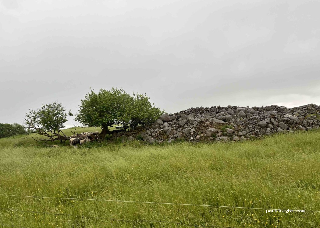 Benestads backar — foto 5