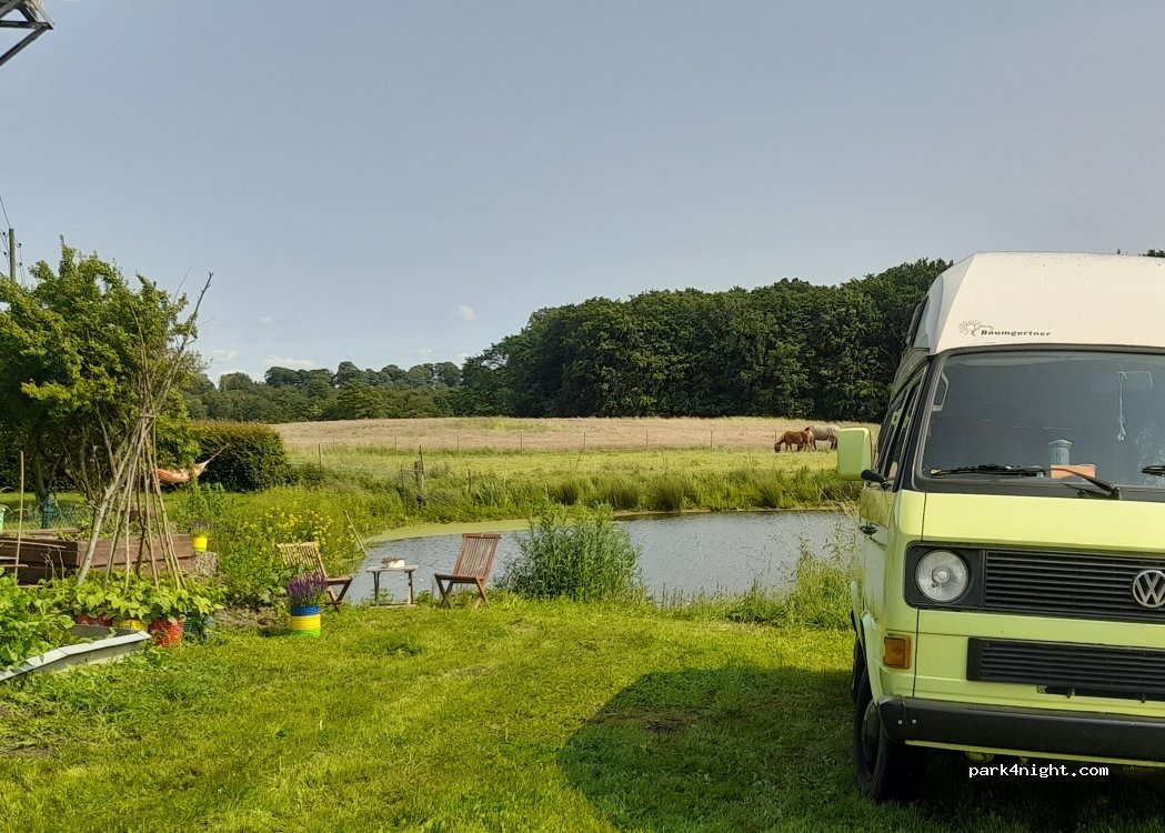 (24232) Schönkirchen - — foto 2