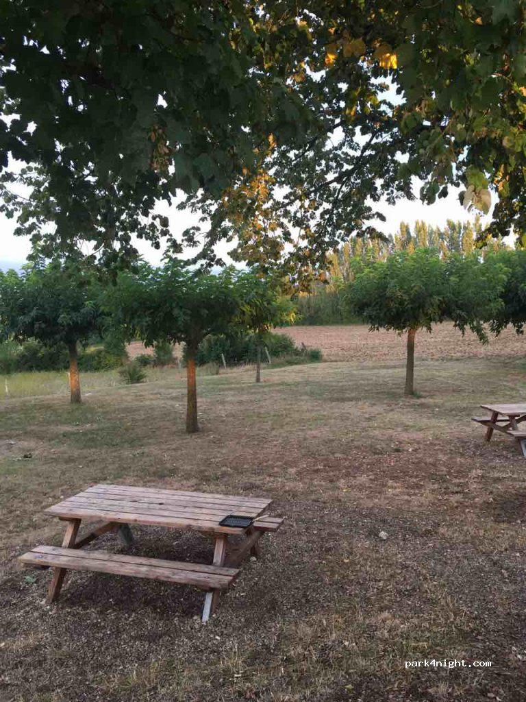 (81600) Senouillac - 10 Avenue des Vignes — foto 2