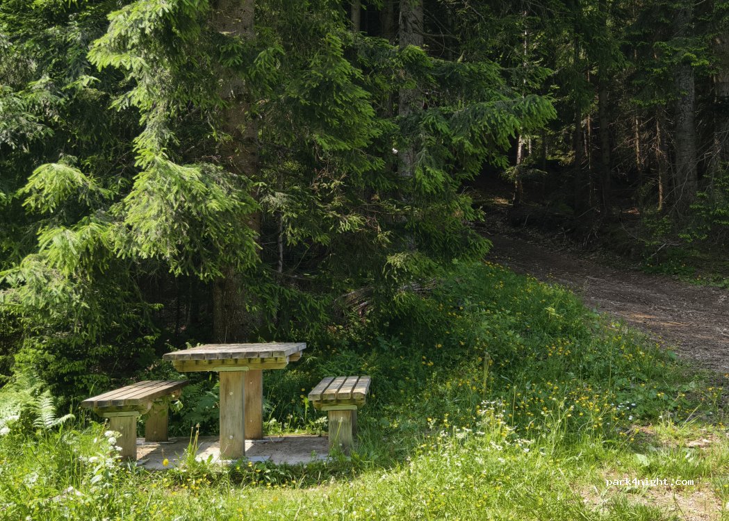 (3335) Solčava - — foto 4