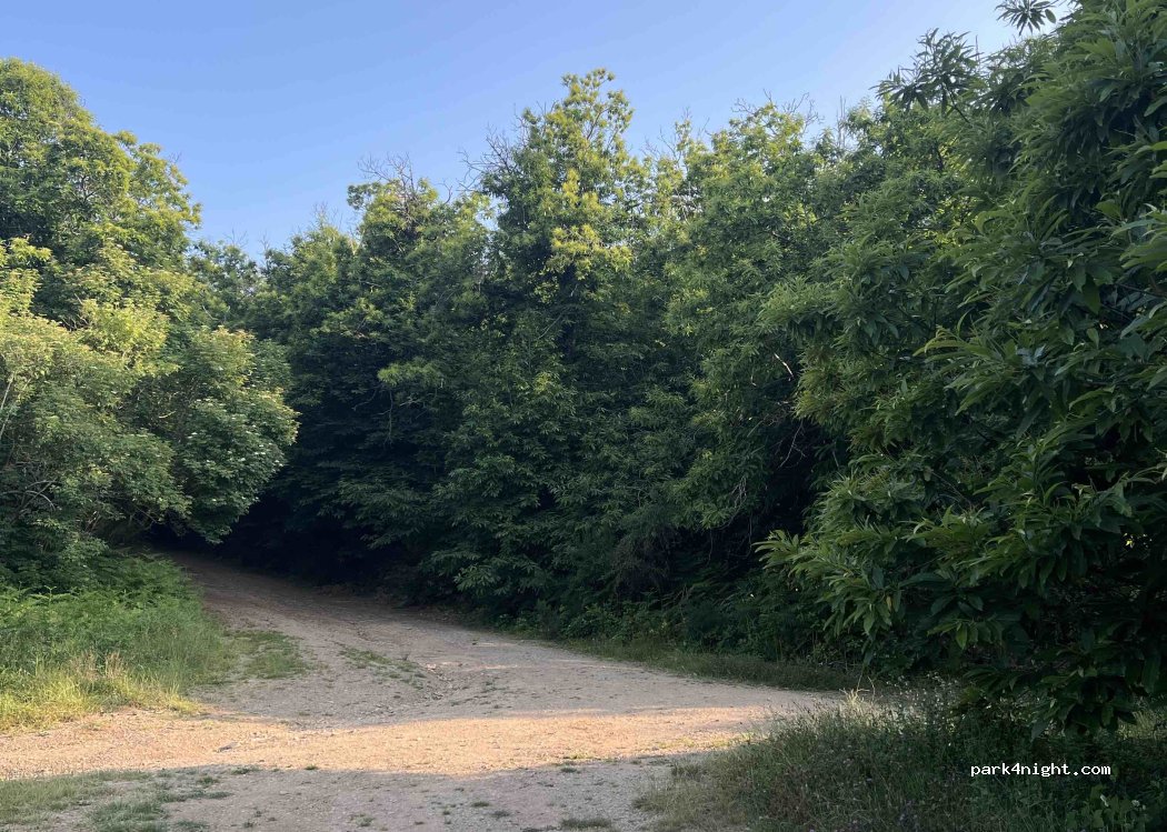 (55012) Capannori - — foto 2