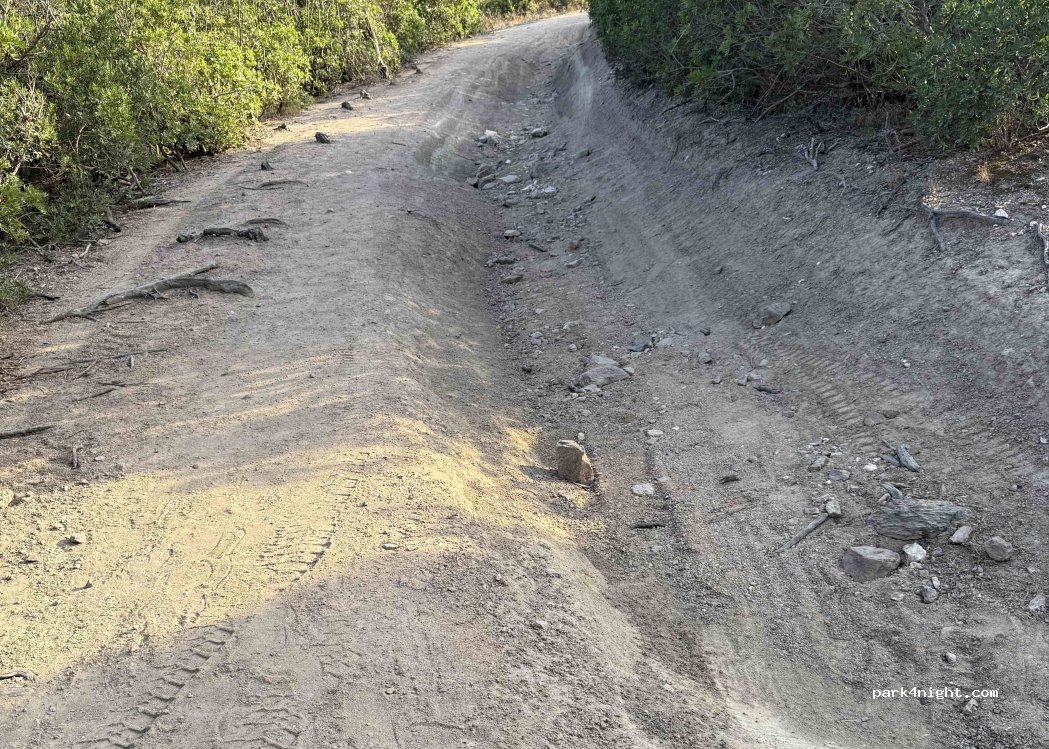 (09019) Perda Longa - Unnamed Road — foto 4