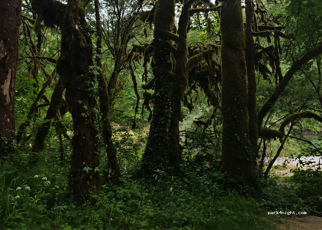 (39360) Lavancia-Epercy - Unnamed Road — foto