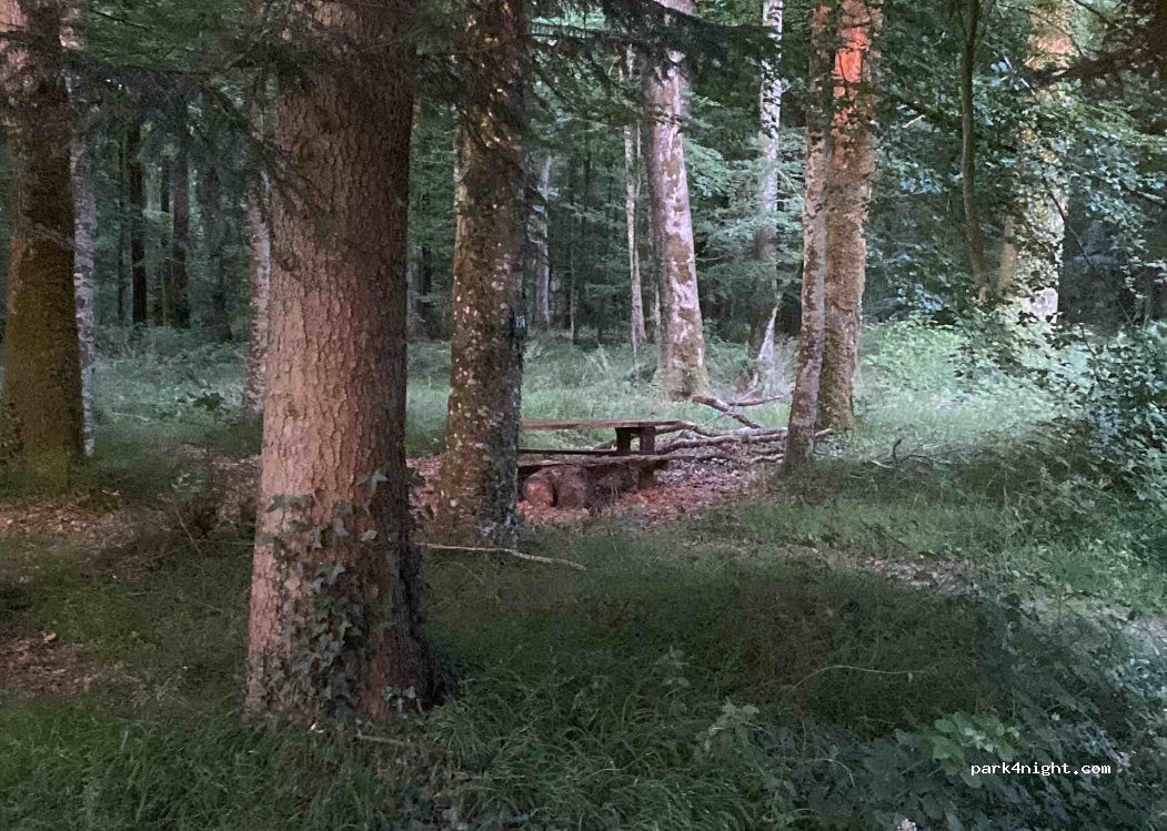 () Belforêt-en-Perche - — foto