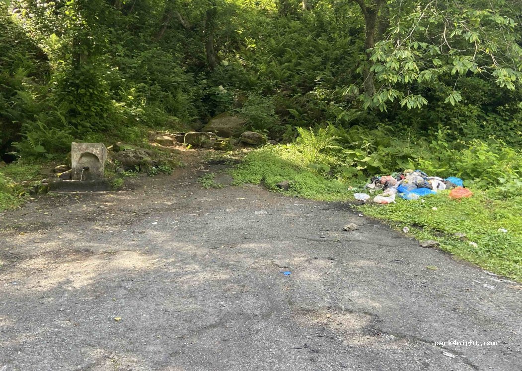 (08490) Borçka - Unnamed Road — foto 2