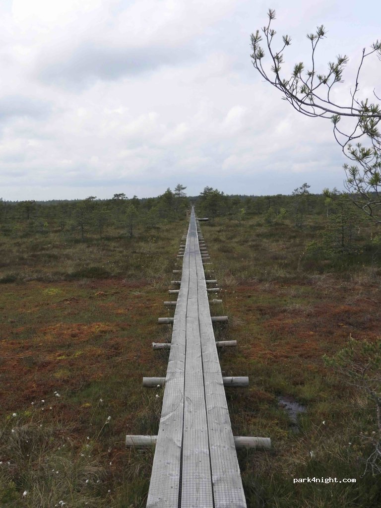 (48407) Endla - Unnamed Road — foto 3