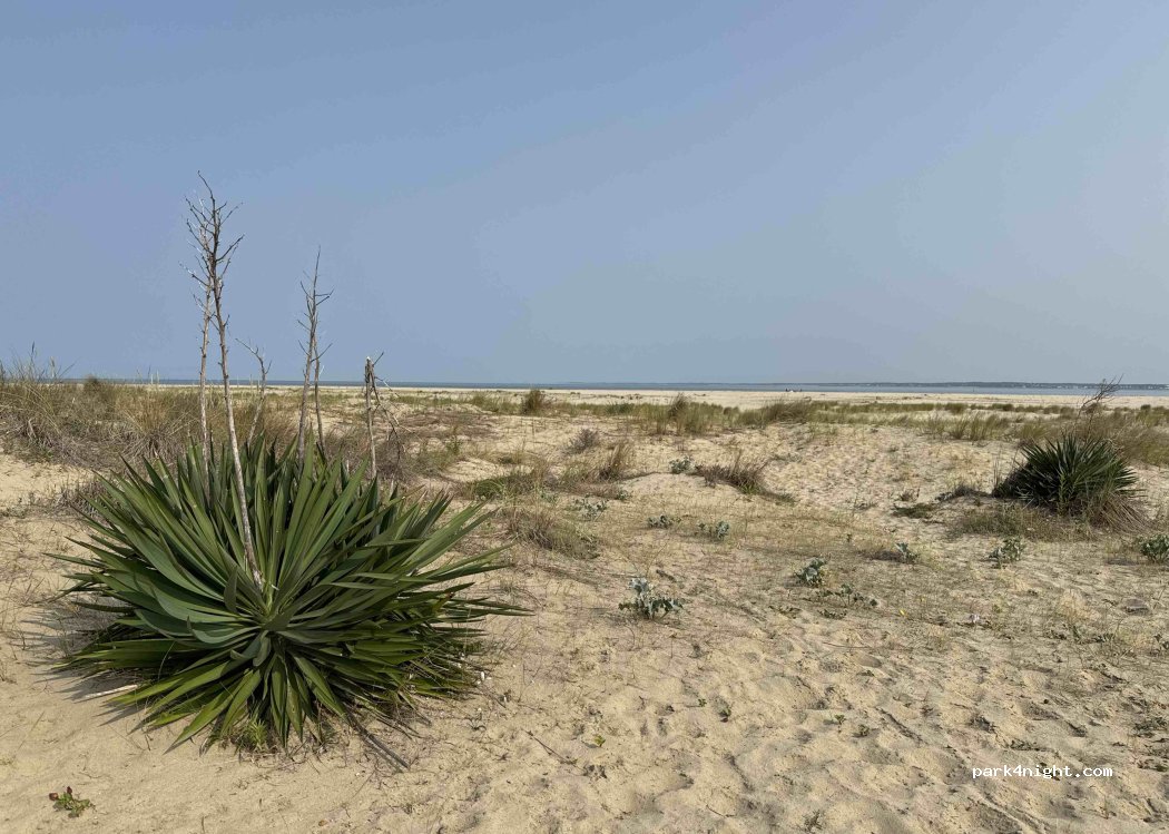 (17110) Le Verdon-sur-Mer - — foto 2