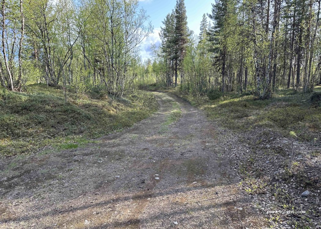 (982 05) Puoltikasvaara - — foto