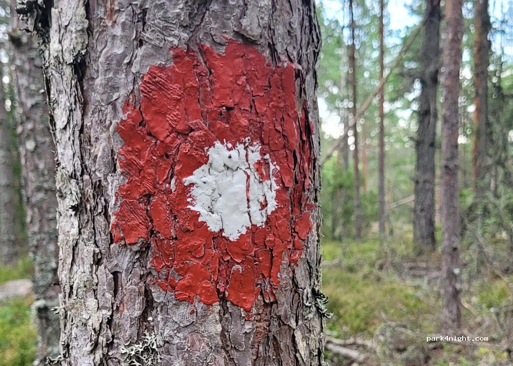 (672 92) Årjäng - — foto 4