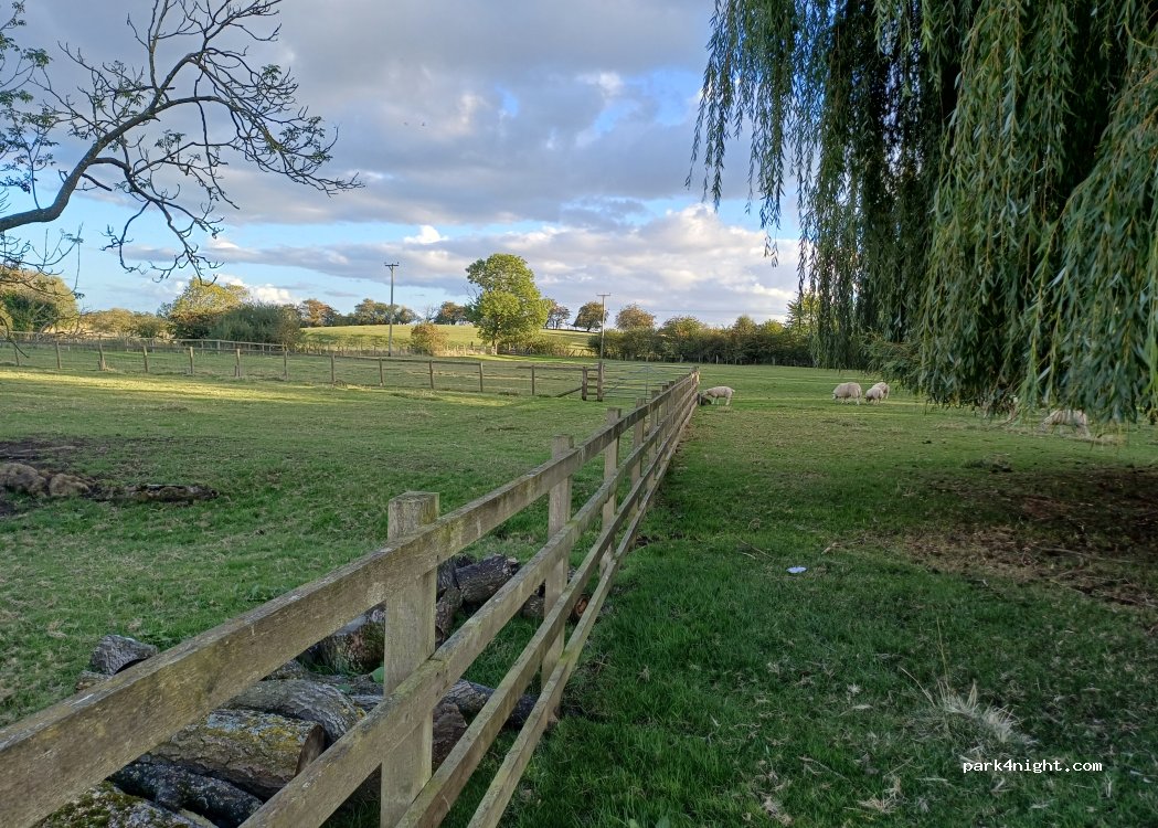 Church Holme Camping at Danby Wiske — foto 3