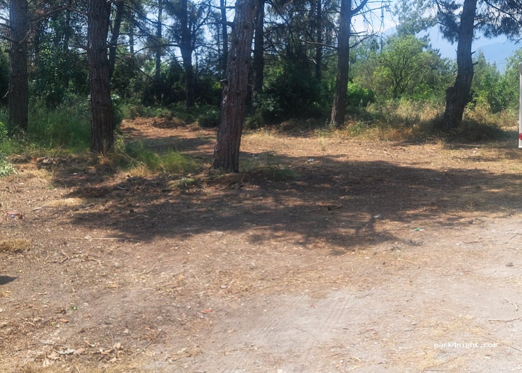 (600 63) Limani Litochorou - Unnamed Road — foto