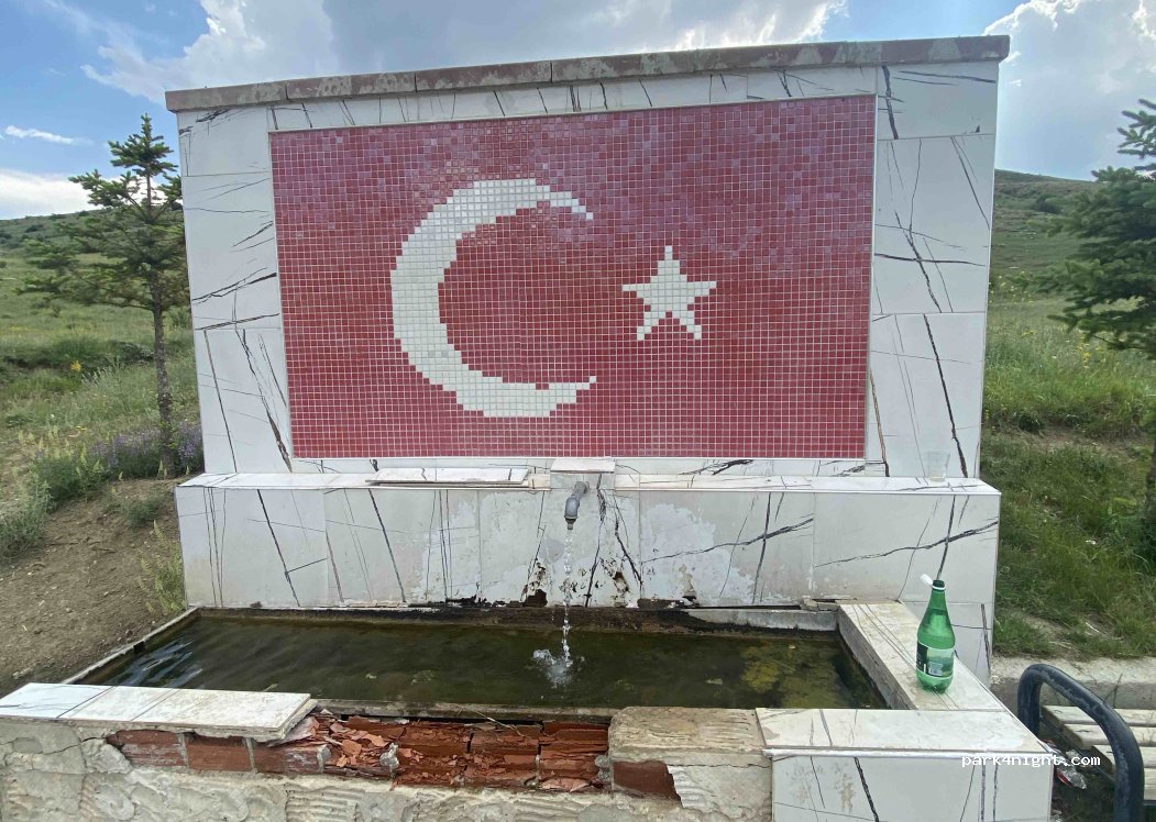 (29602) Balıklı - D885 — foto 3