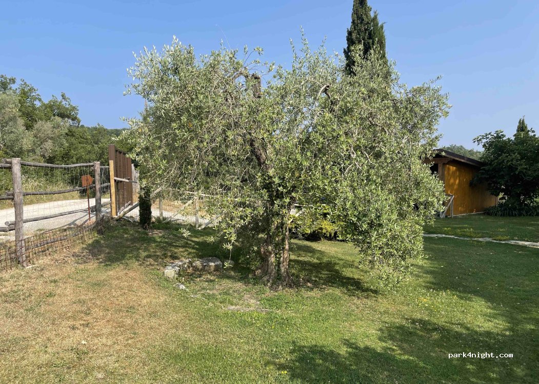 Suoni della Natura — foto 3