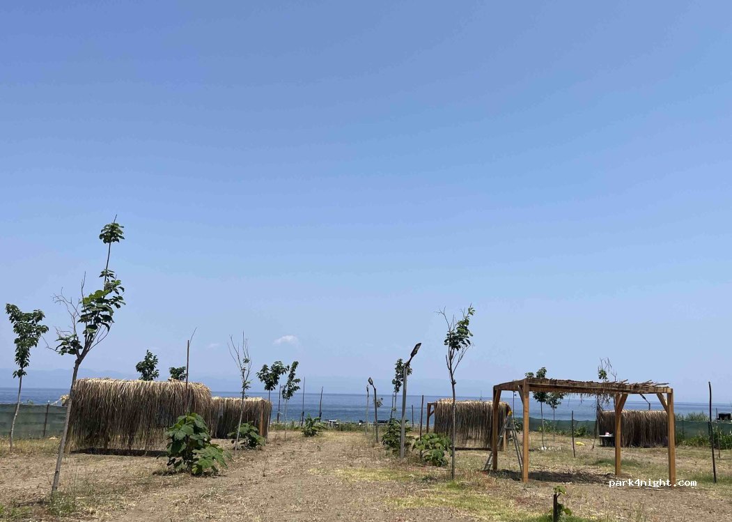 Moza Camp Datça — foto 2