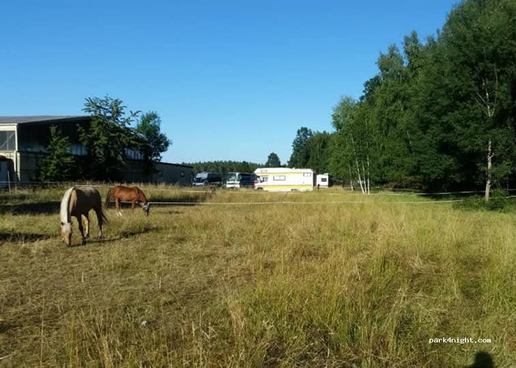 Okis Campground — foto 2