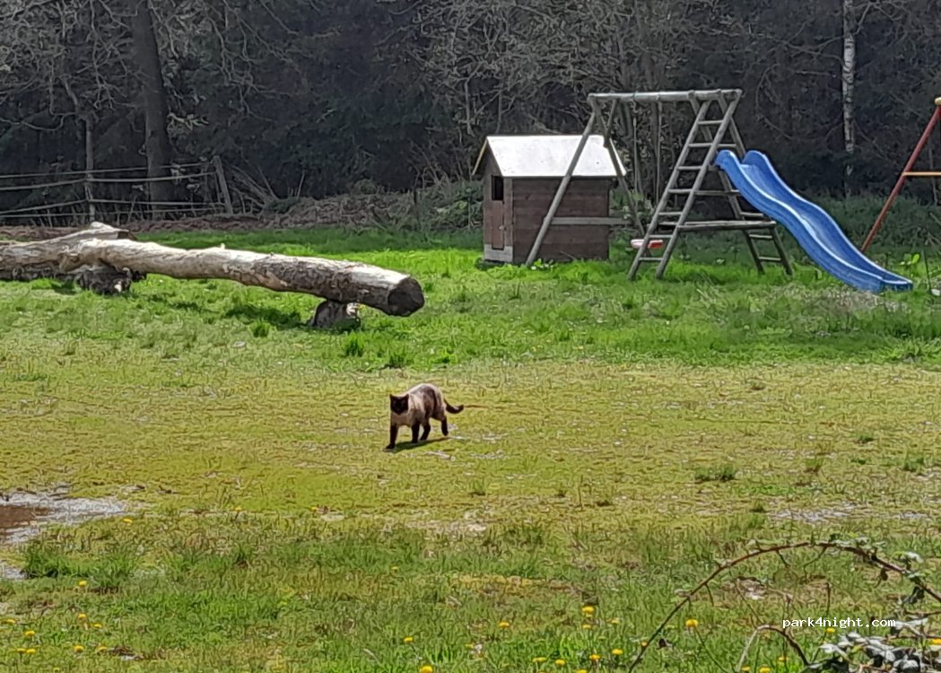 Okis Campground — foto 4