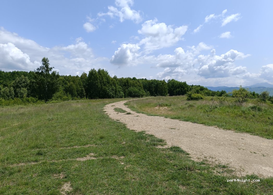 (437215) Poienile Izei - — foto 2