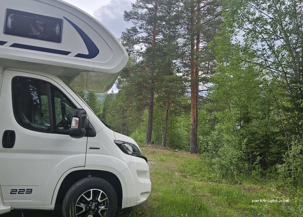 (7387) Midtre Gauldal - 3553 Rørosveien — foto 3
