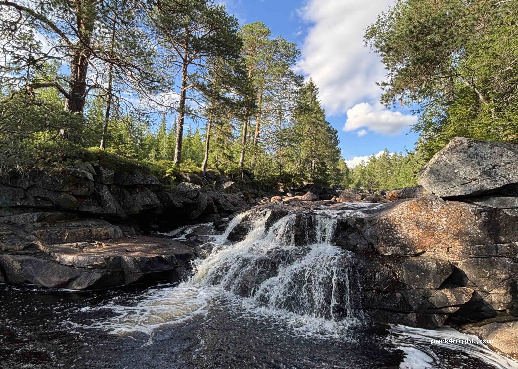 (7387) Midtre Gauldal - 3553 Rørosveien — foto 4