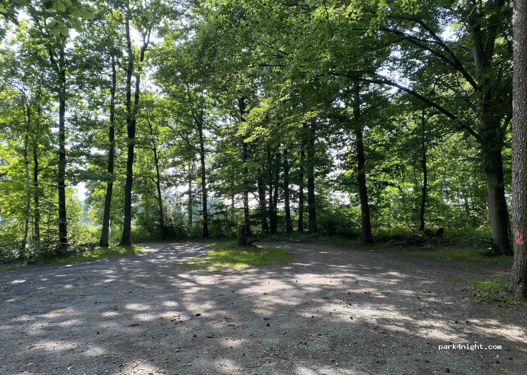 (29) Südheide - K17 — foto