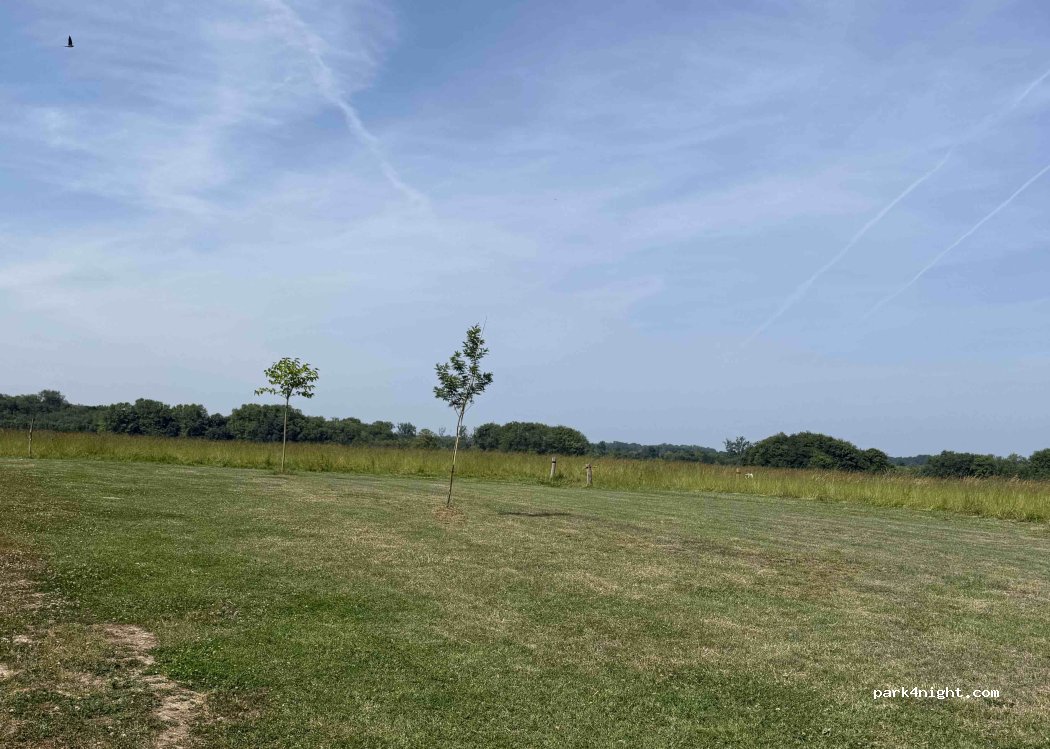 (40390) Saint-Martin-de-Hinx - 1303 Route des Barthes — foto 5