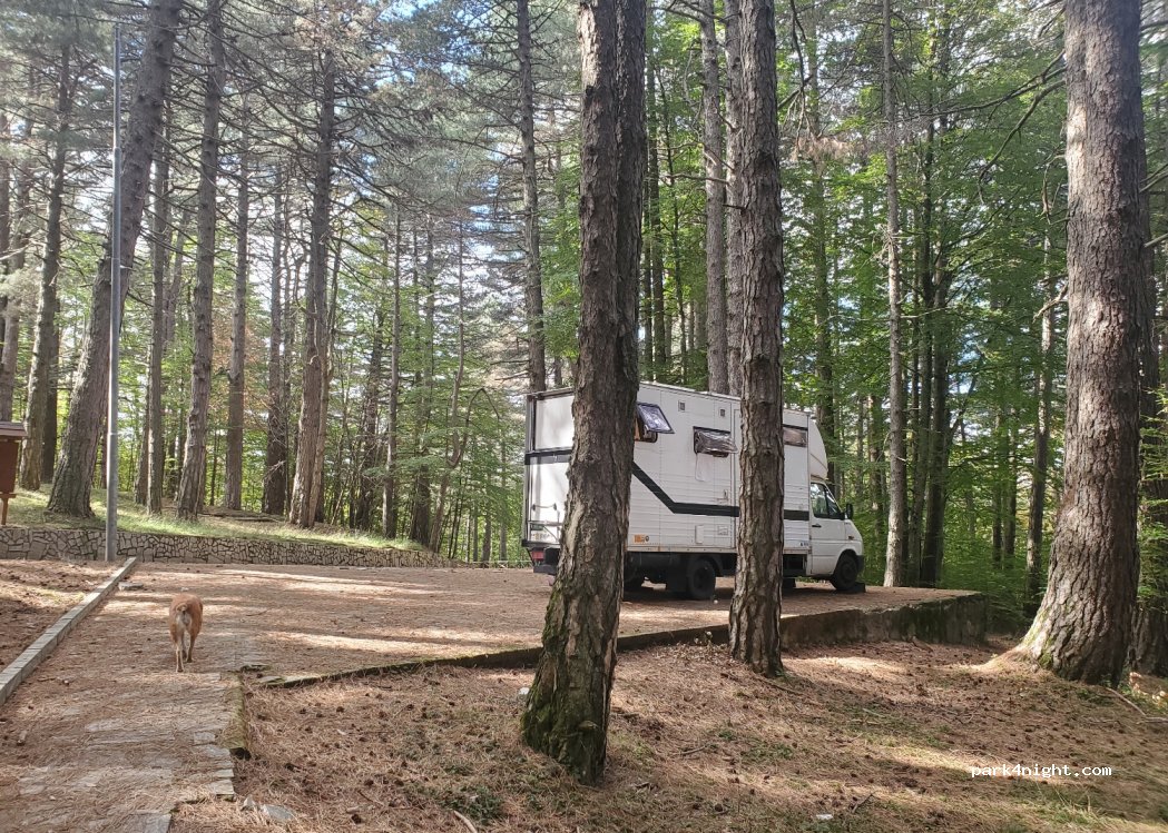 (89027) Sant'Eufemia D'aspromonte - Unnamed Road — foto 5