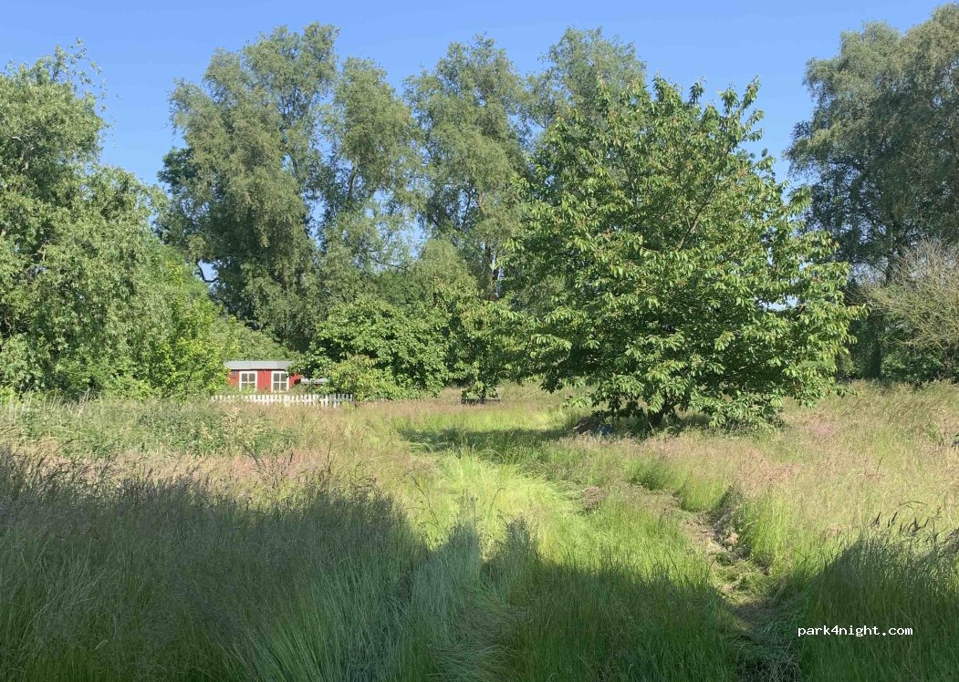 (18528) Bergen auf Rügen - 15 Dumsevitz — foto 2