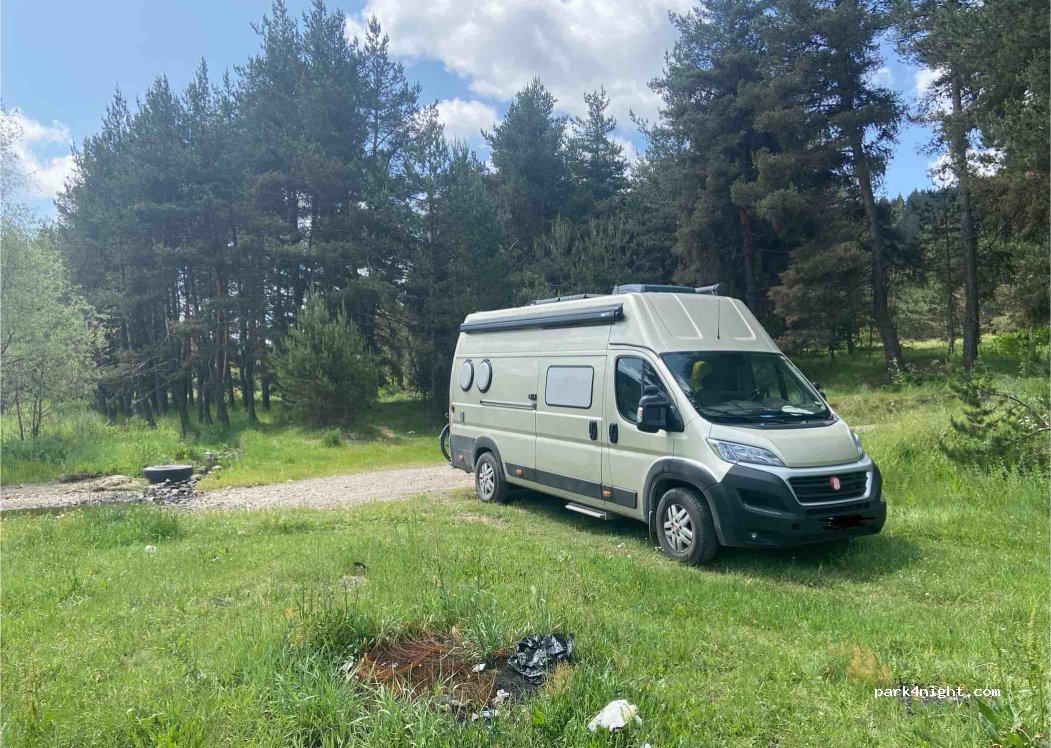 (06890) Berçinyayalar - — foto 2