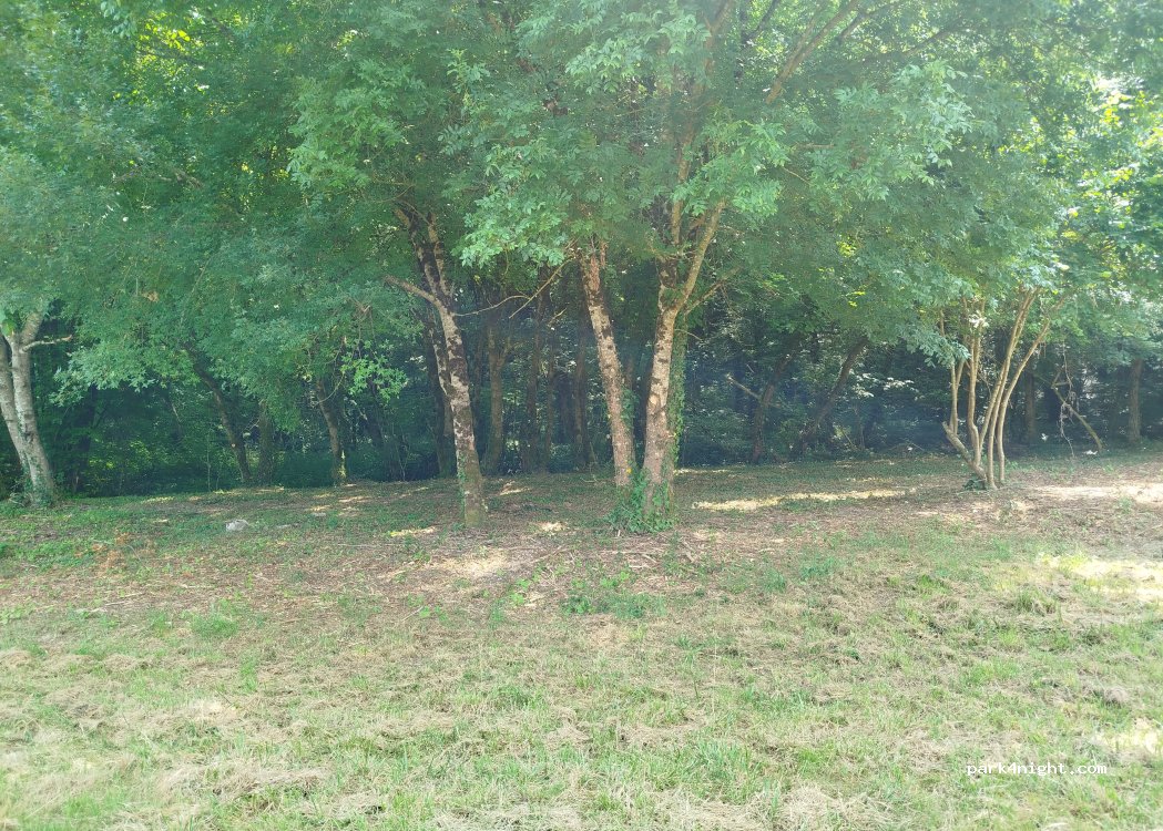 Remy's Farm — foto 2