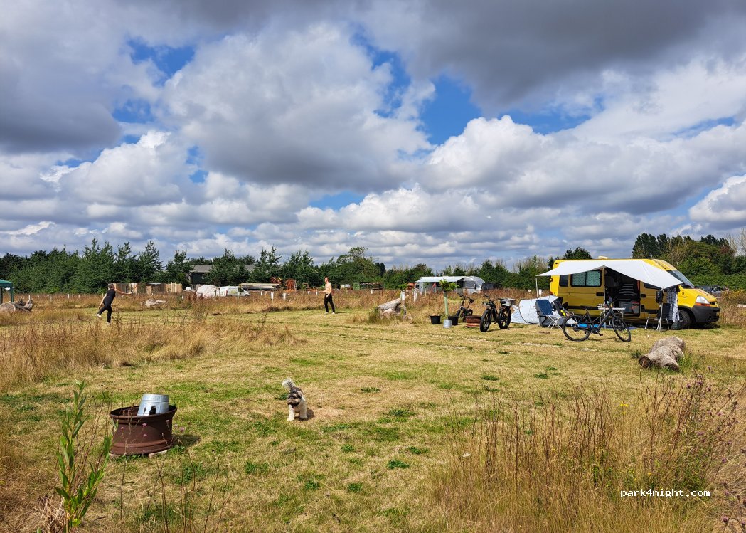 Cuckoo Camp — foto 4