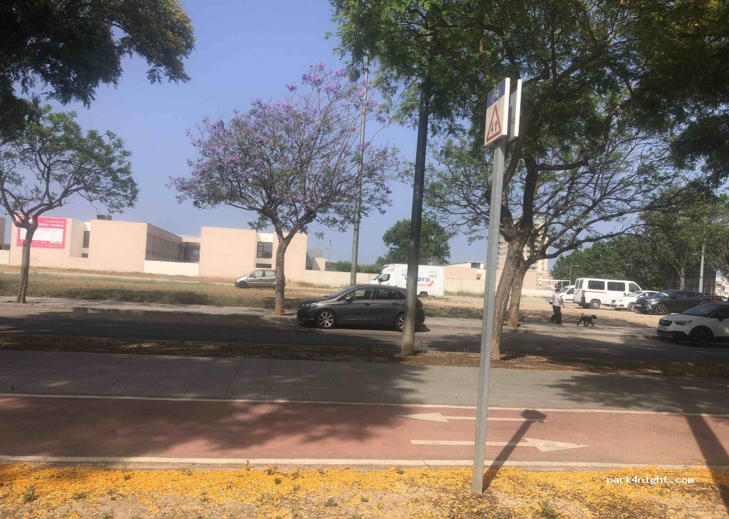 (46600) Alzira - 2 Avinguda del Nou D'Octubre — foto 3