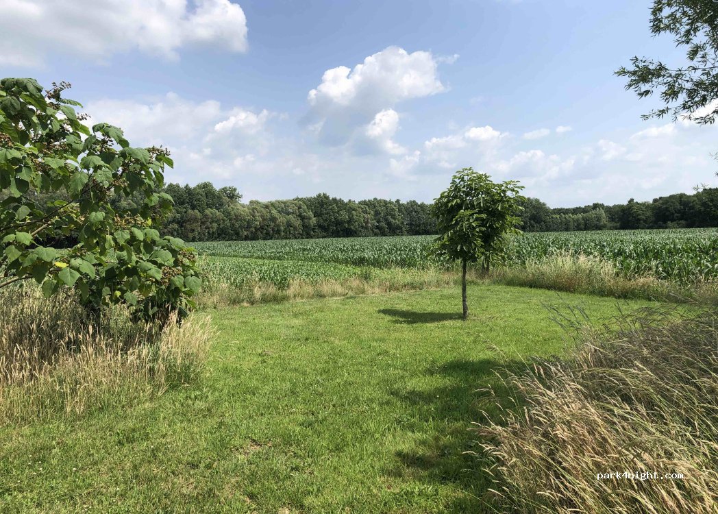 (5454 NV) Sint Hubert - 24 Scheiwalweg — foto 3