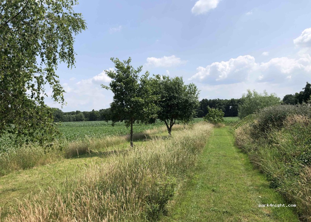 (5454 NV) Sint Hubert - 24 Scheiwalweg — foto 4