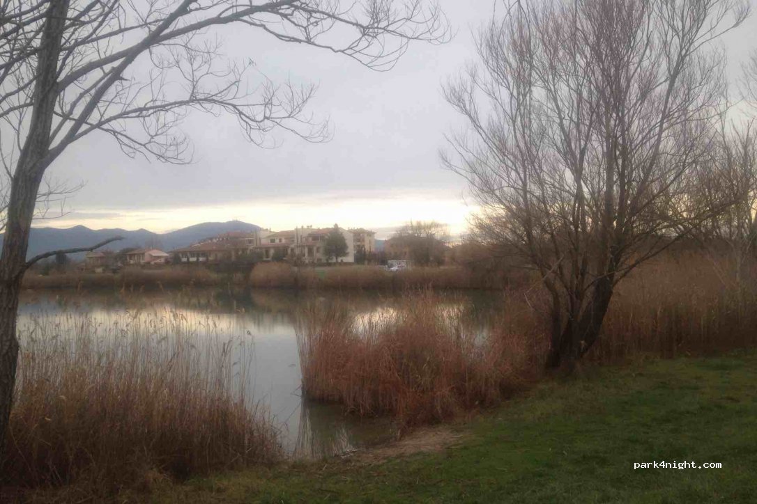 (56025) Pontedera - 2 Via delle Prunacce — foto