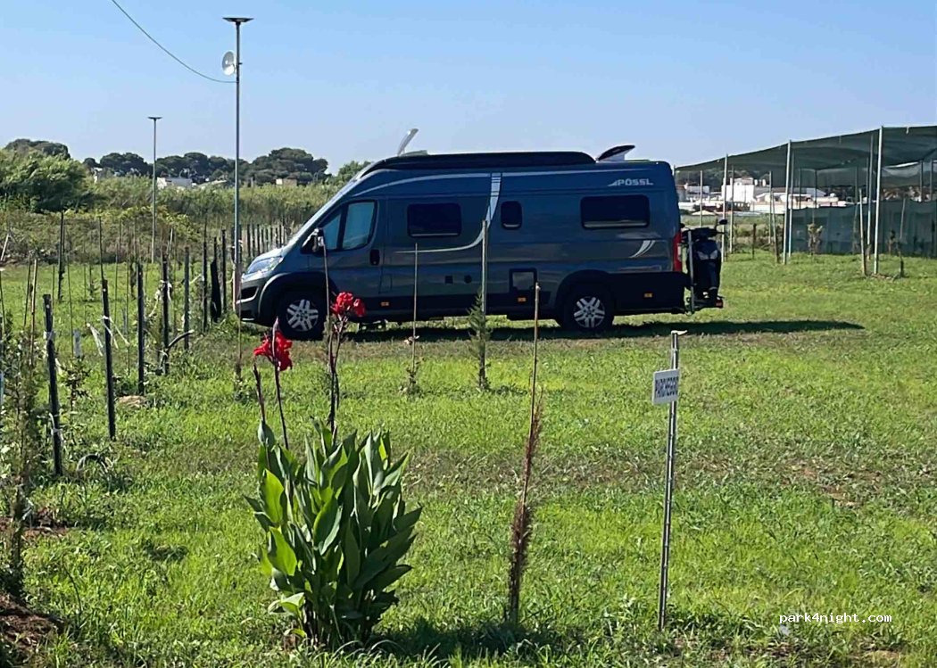 PARKING LA ROTONDA h — foto 2