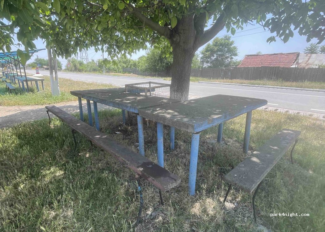 (207270) Galicea Mare - 71 Strada Craiovei — foto