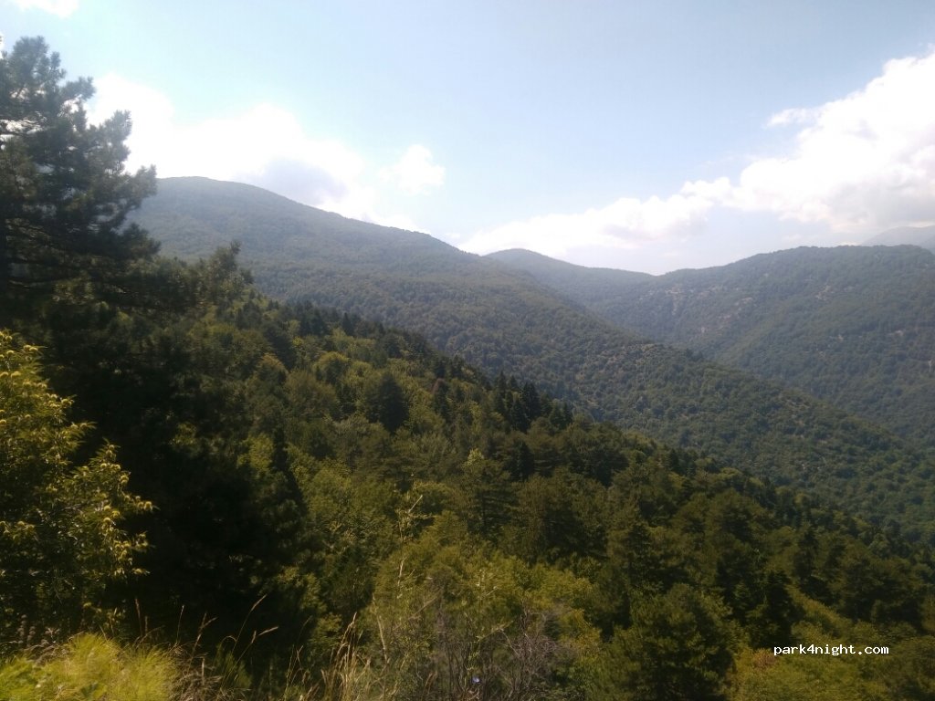 (60063) Ano Skotina - — foto 2