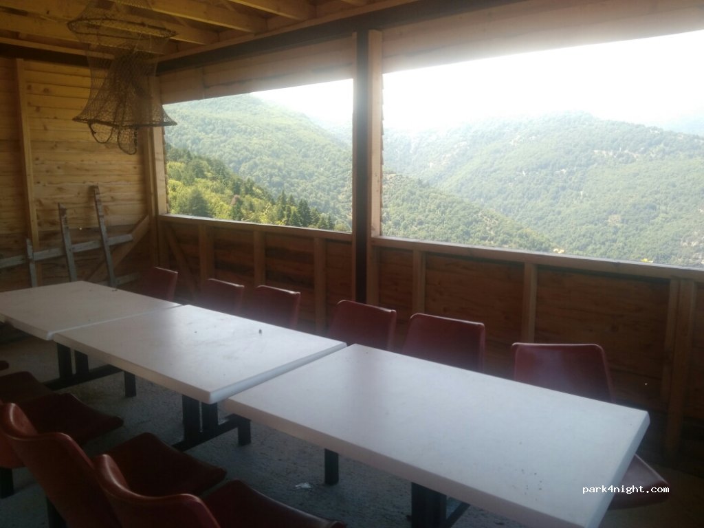 (60063) Ano Skotina - — foto 4